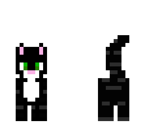 black cat