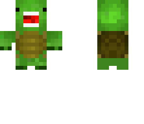 chauss turtle