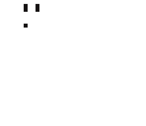 the white knight
