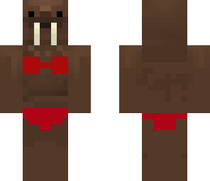 walrus bae