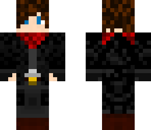 the assasin