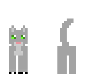kitty cat