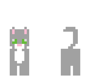 kitty