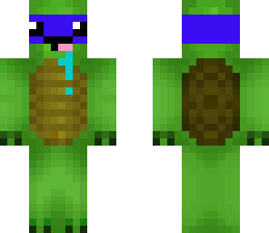 turtle 1
