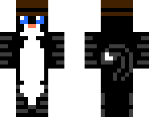 black cat