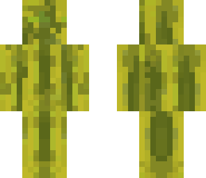plain melon