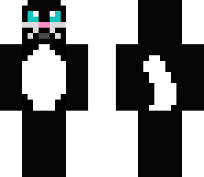 cute cat
