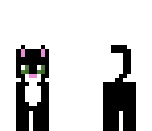 black cat
