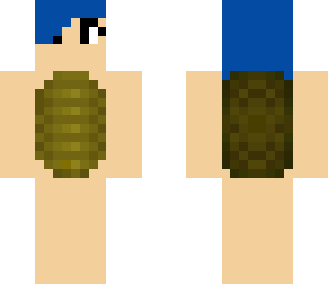tehturtle