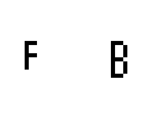 skin template