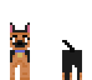 cute german shepherd