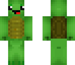 adorable turtle