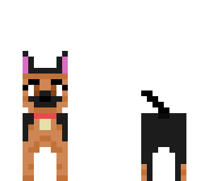 dog