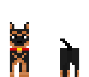 riley the dog