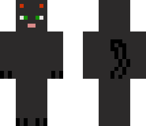 black cat