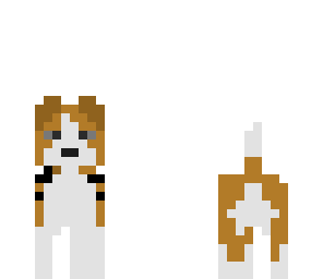 beagle