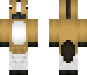 palomino horse