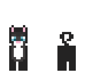 kitty cat