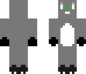 kitty