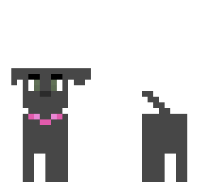 my dog