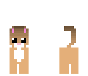 gatitukawaii