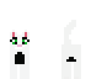 fluffy cat