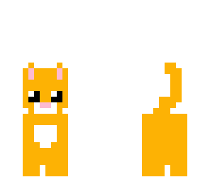 orange kitten
