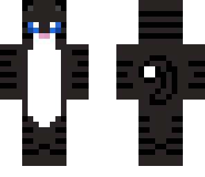 black cat