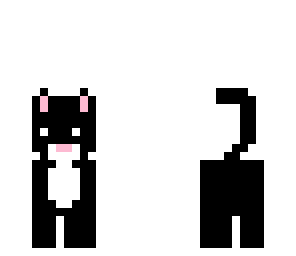 black cat