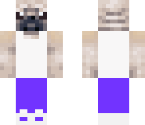 pug in tanktop
