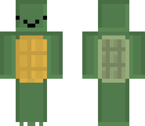 simple turtle