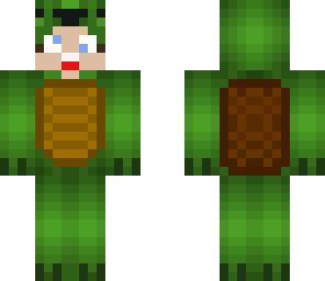 crazy turtle guy
