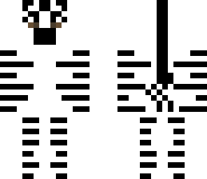 cute zebra