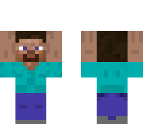 mini steve