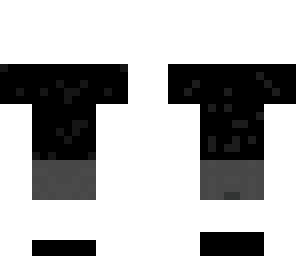 the invisinle man