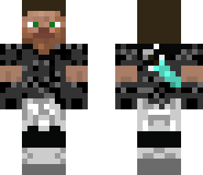 assassin steve