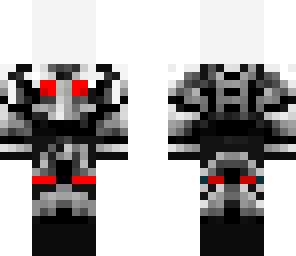 invisible warrior