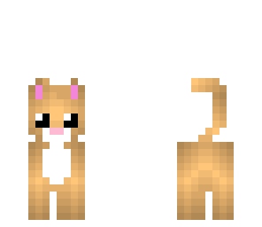 kitten