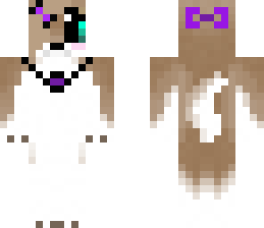 cute dog