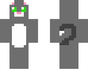 cute cat