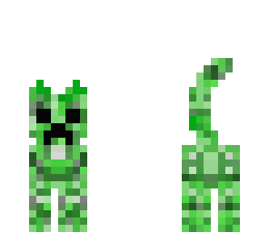 kitty creeper