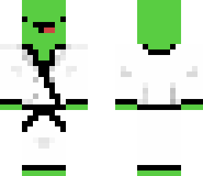 karate turtle