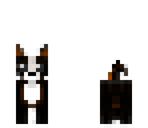 cute nyu_raili dog