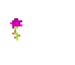 pink flower