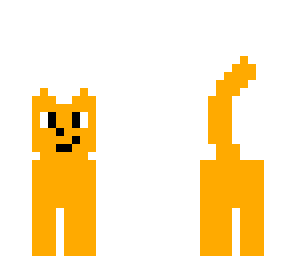 gato de server