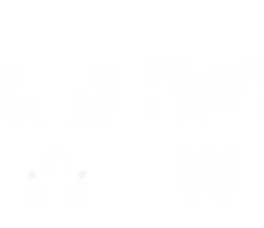 blank