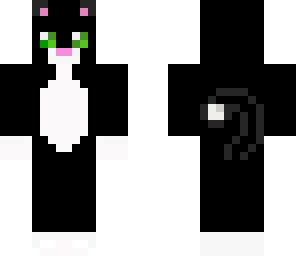 black cat