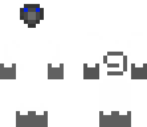 siamese cat