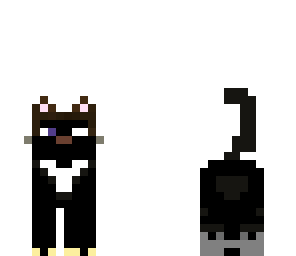 edited black cat