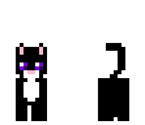 black cat